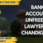  Bank account unfreeze lawyer in Chandigarh | Advocate Ayush Garg | 8273682006